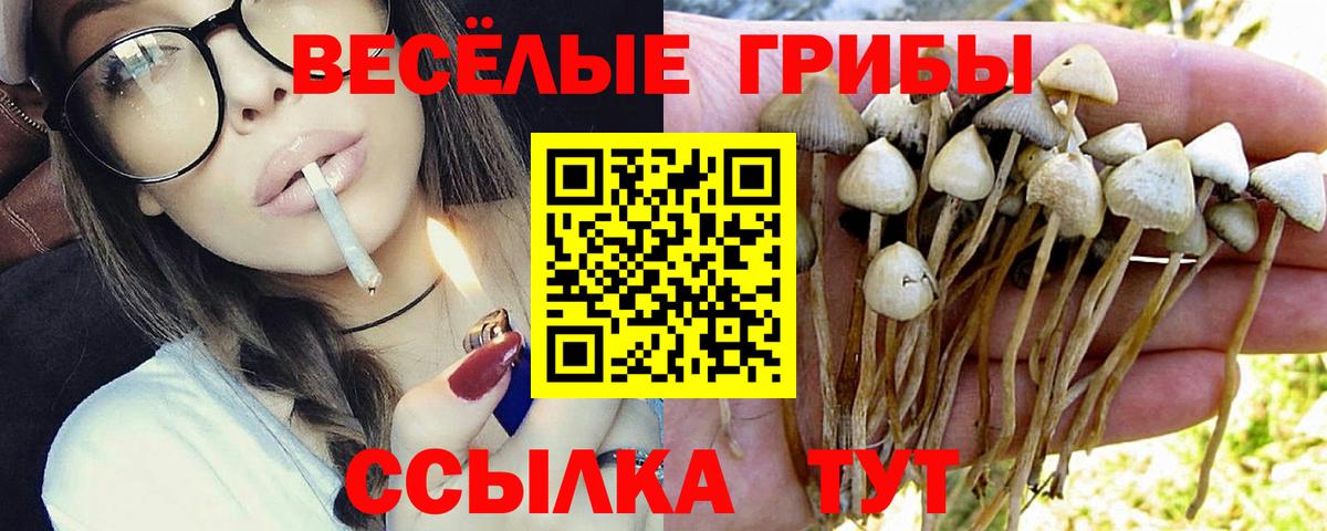 Галлюциногенные грибы MAGIC MUSHROOMS Пушкино