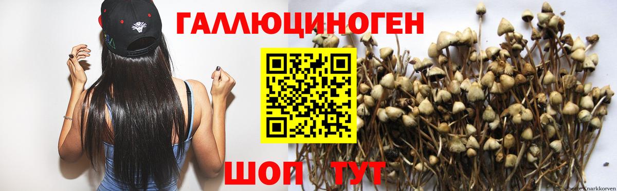 Псилоцибиновые грибы мухоморы  Вход с VPN  Пушкино 